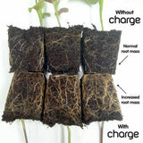 ECOTHRIVE CHARGE Insect Frass Fertiliser Organic Booster Stimulant Soil or Coco