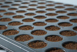 COCO PEAT PLUGS NPK INFUSED by PLUG LIFE Propagation Starter Cubes Tray of 104