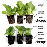 ECOTHRIVE CHARGE Insect Frass Fertiliser Organic Booster Stimulant Soil or Coco